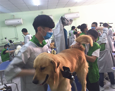 QQ截图20160422144405.png