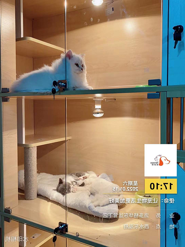 1642577518502578.jpg 微信图片_20220117093000.jpg